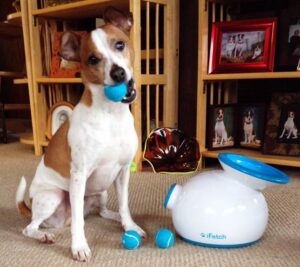 Lanzador de pelotas automático para perros iFetch
