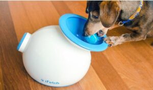 Lanzador de pelotas automático para perros iFetch