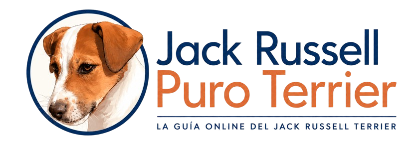 Puro Terrier WP